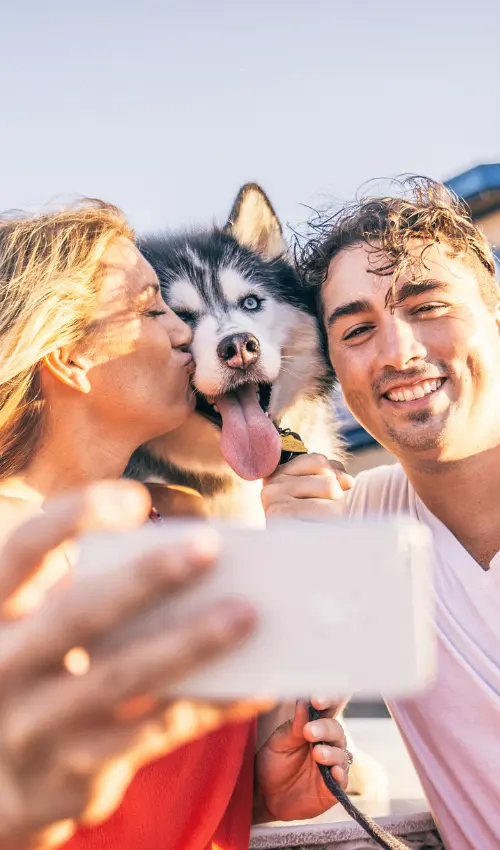 T3_does_marriage_counseling_team